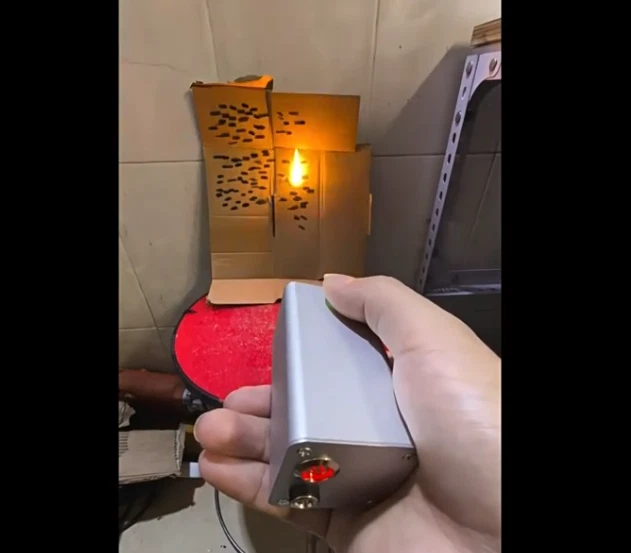Handheld Laser Insect Killer – 80W